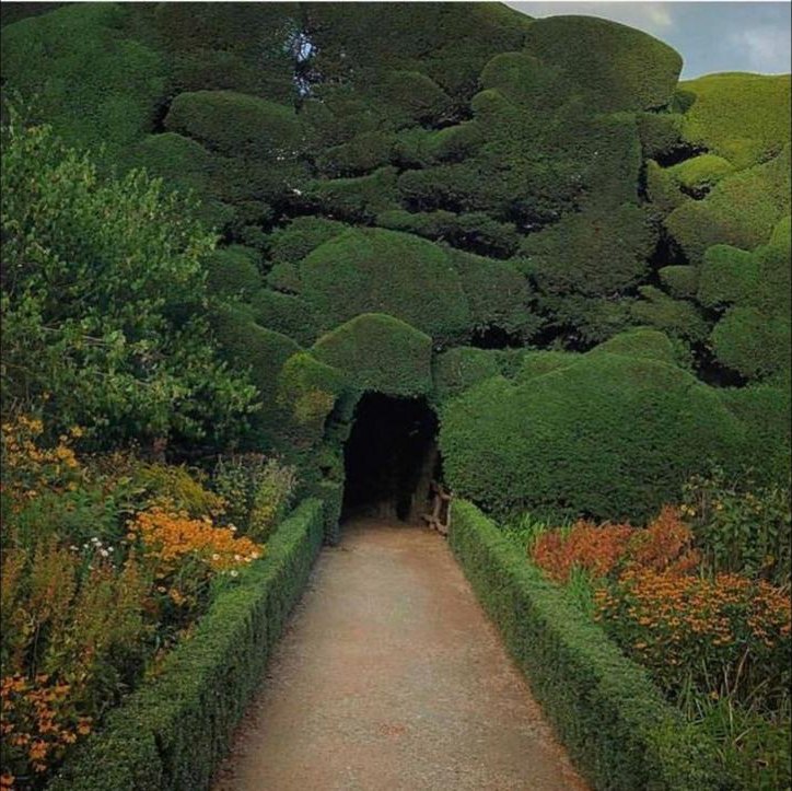 A path into a clipped yew cave