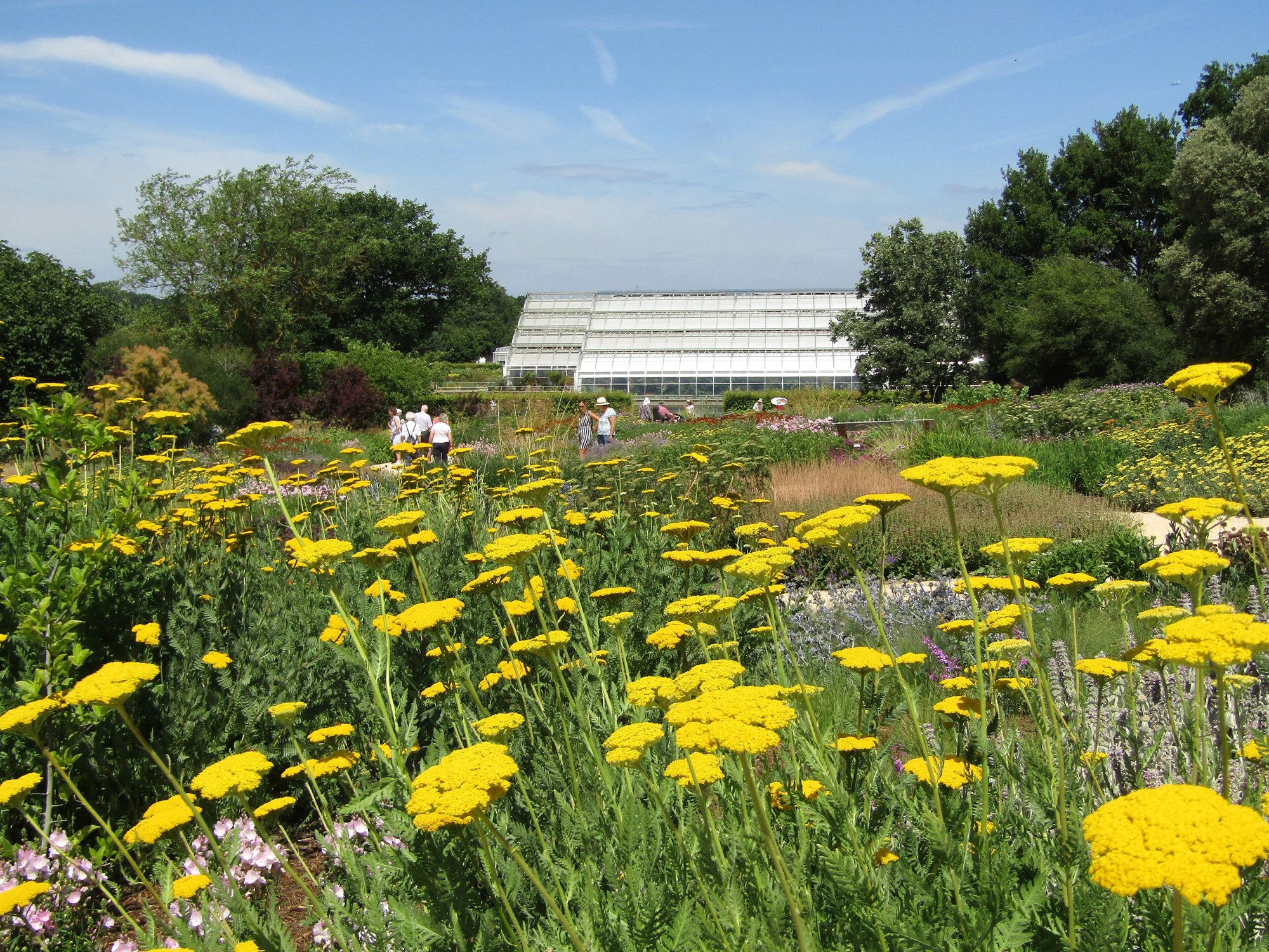 Piet Oudolf Landscape, RHS Wisley, Surrey